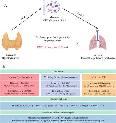 Deciphering the mediating role of CXCL10 in hypothyroidism-induced idiopathic pulmonary fibrosis in European ancestry: a Mendelian randomization study